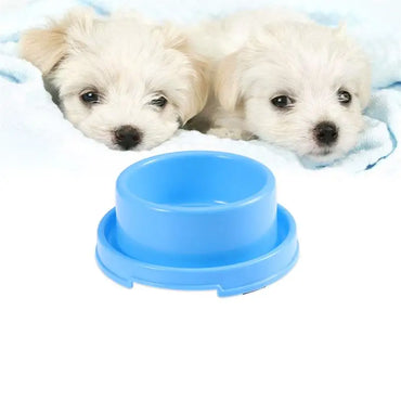 Stainless Pet Feeding Bowl – Anti-Spill & Durable