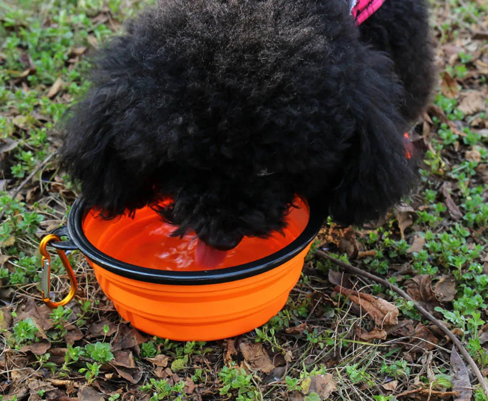 Collapsible Silicone Pet Bowl – Portable with Carabiner