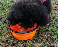 Collapsible Silicone Pet Bowl – Portable with Carabiner