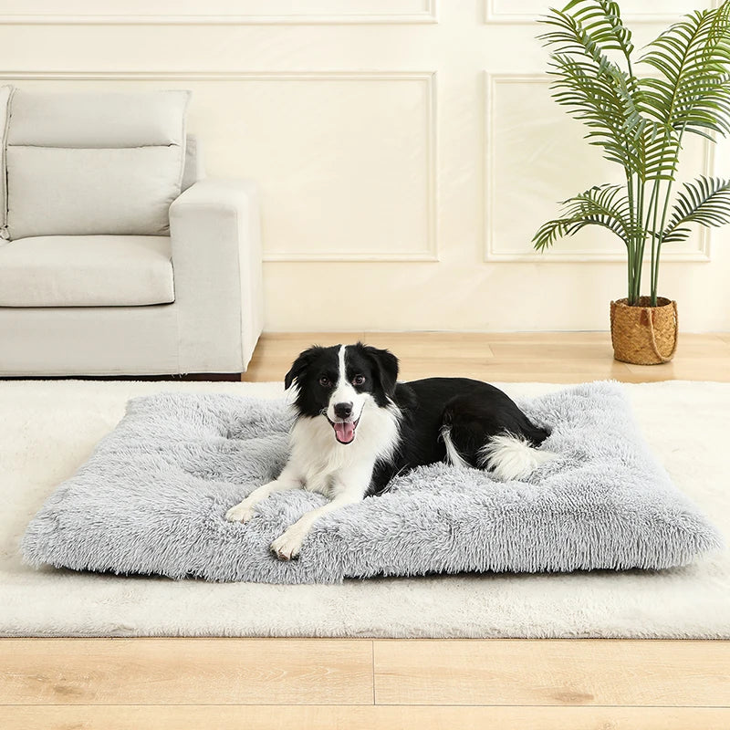 Plush Pet Bed – Soft, Cozy & Washable