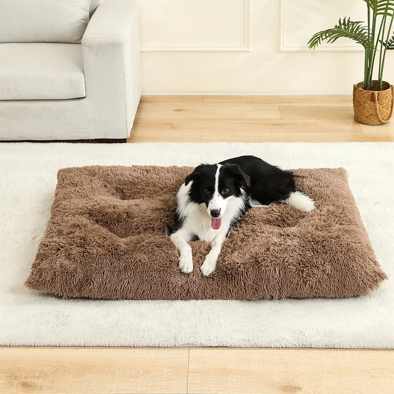 Plush Pet Bed – Soft, Cozy & Washable
