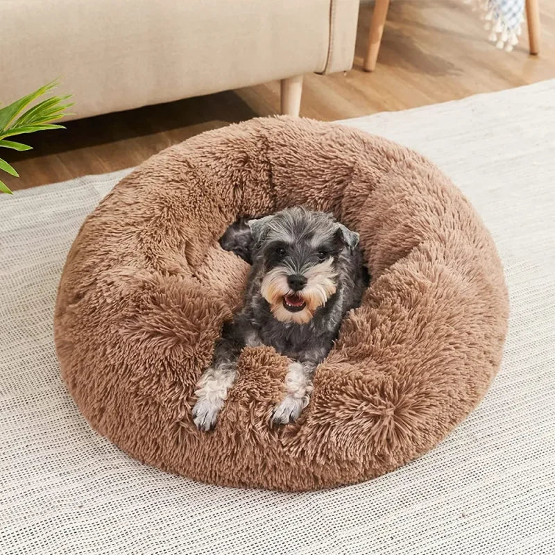Super Soft Plush Donut Cat Bed – Washable & Cozy
