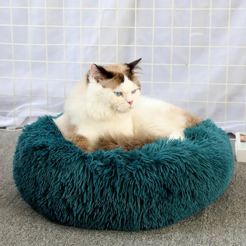 Super Soft Plush Donut Cat Bed – Washable & Cozy