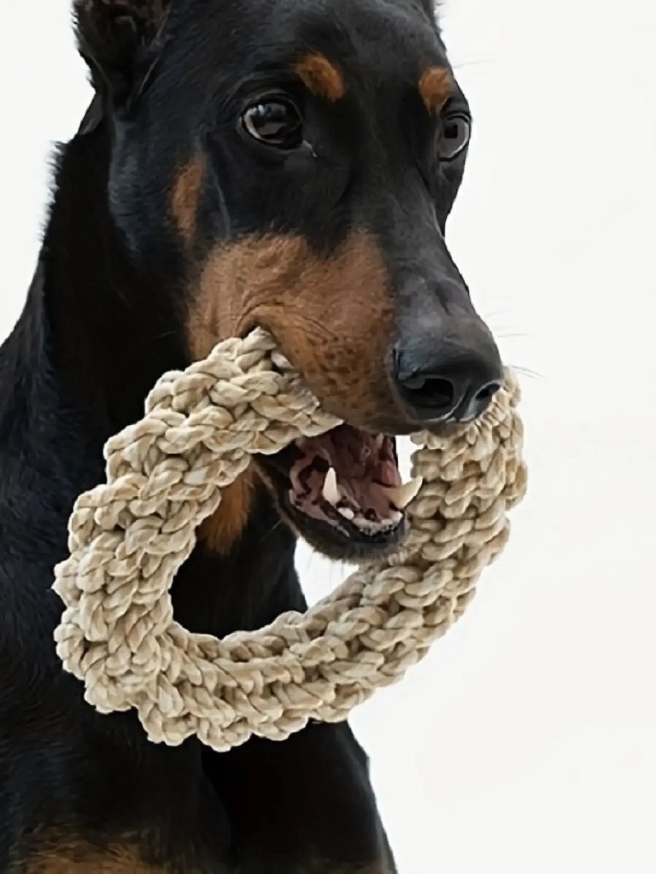 Durable Rope Dog Toy – Chew & Bite Resistant