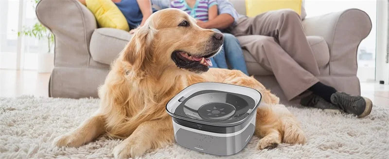 2L Anti-Splash Pet Water Bowl – Large Capacity