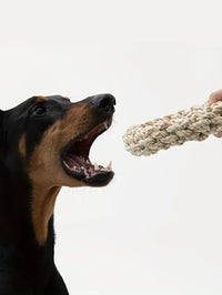 Durable Rope Dog Toy – Chew & Bite Resistant