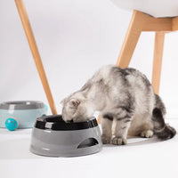 Floating Pet Bowl – Dog & Cat Friendly