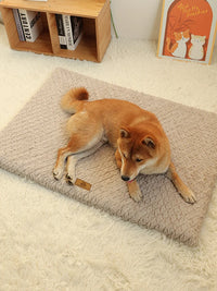Orthopedic Pet Bed – Waterproof & Washable