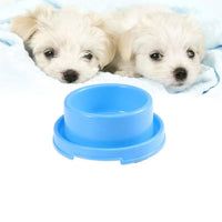 Stainless Pet Feeding Bowl – Anti-Spill & Durable
